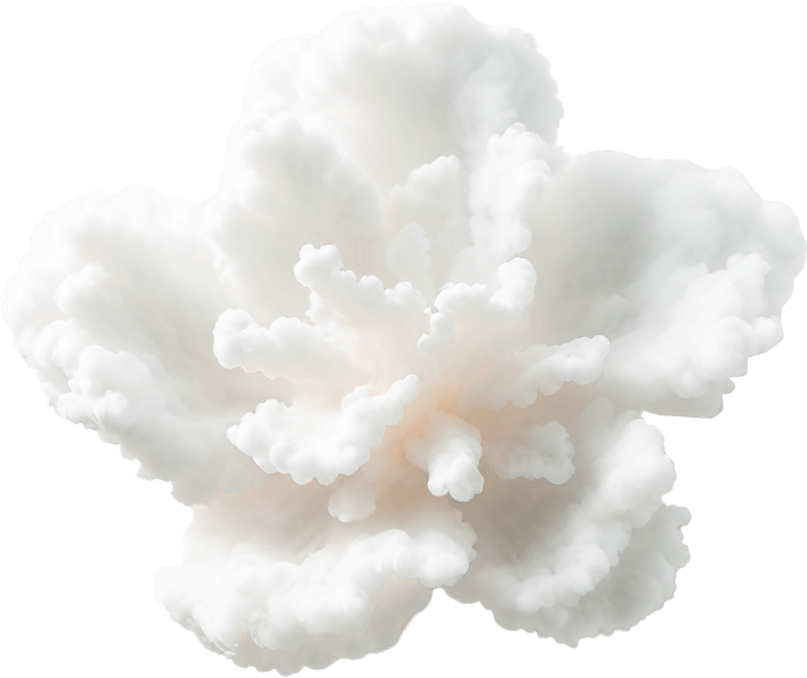 雲朵小花